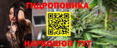 прущие грибы Гусь-Хрустальный