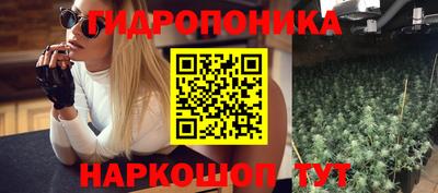 прущие грибы Гусь-Хрустальный